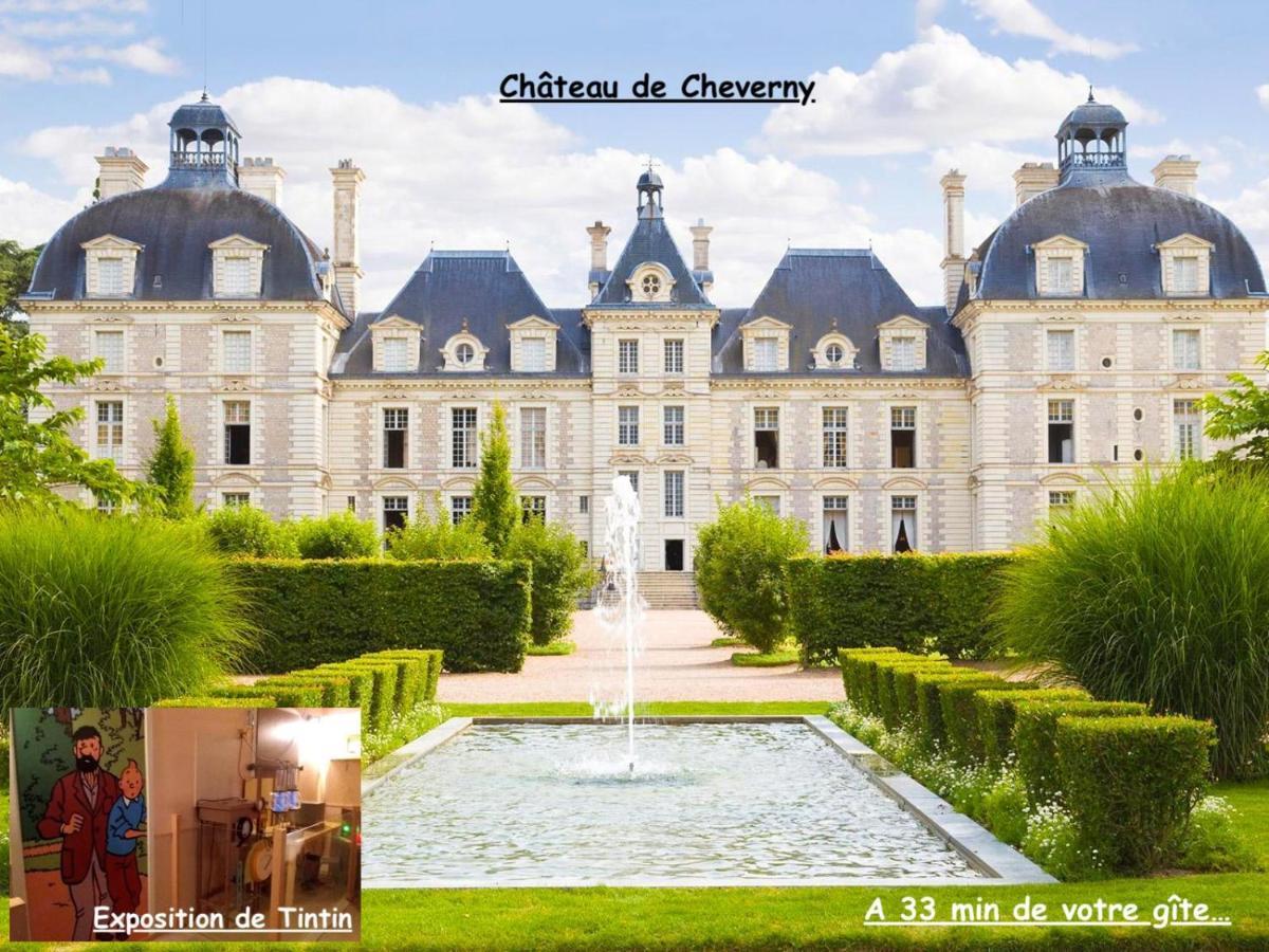 La Porte Aux Dames Romorantin-Lanthenay Exteriér fotografie