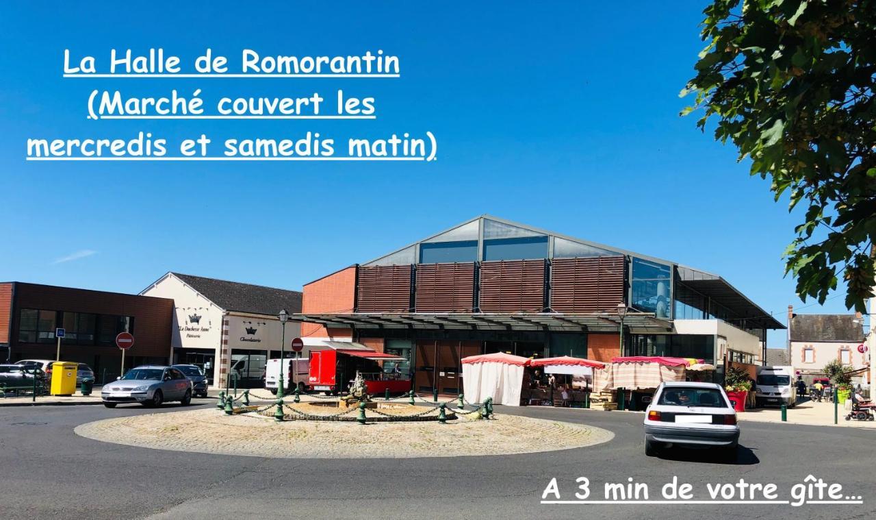 La Porte Aux Dames Romorantin-Lanthenay Exteriér fotografie